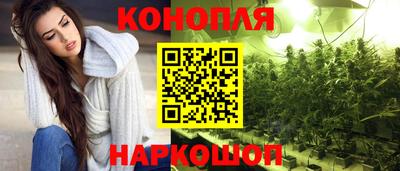 spice Обь