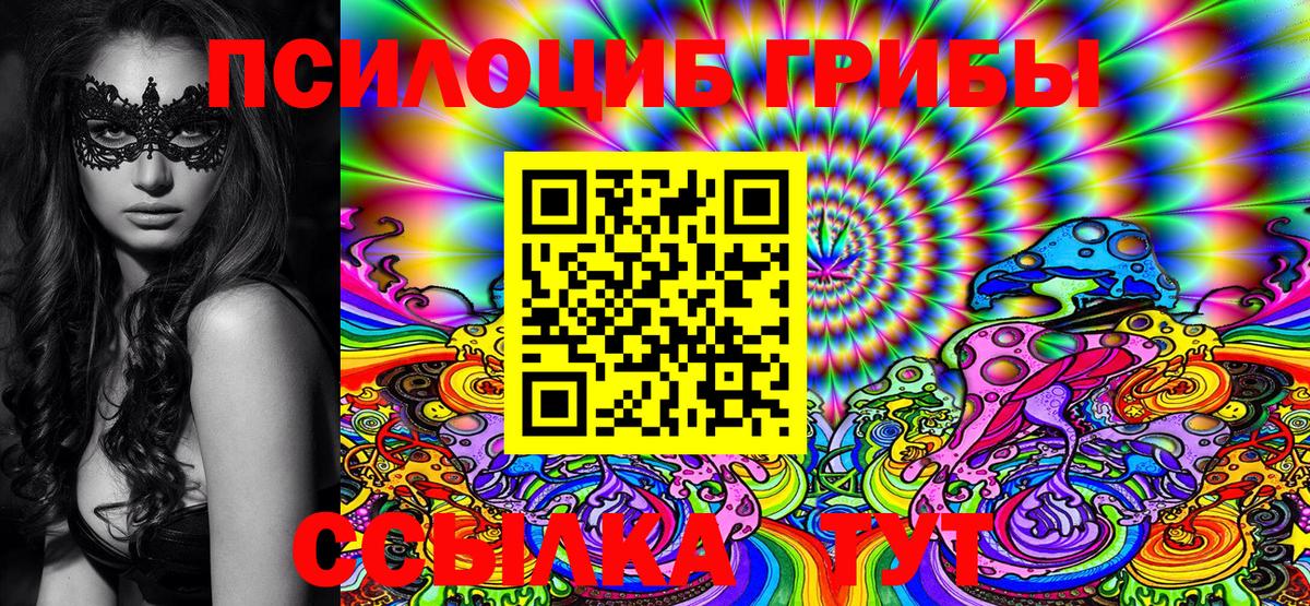 Галлюциногенные грибы Psilocybe Тихорецк